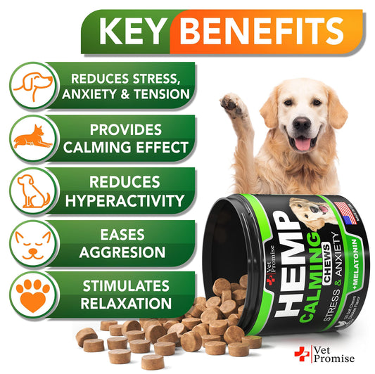 Hemp Calming Chews for Dogs | Stress & Anxiety Relief