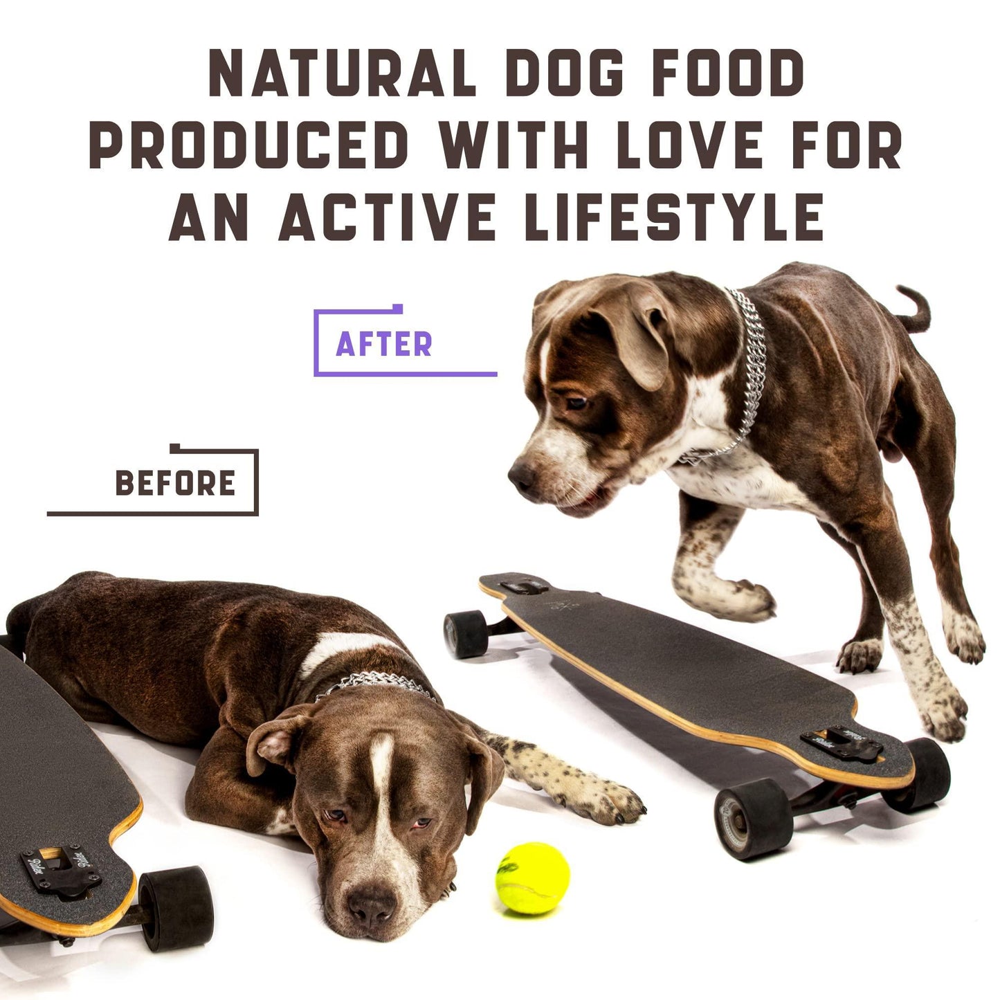 Hip & Joint Chews for Dogs | Glucosamine, MSM & Chondroitin