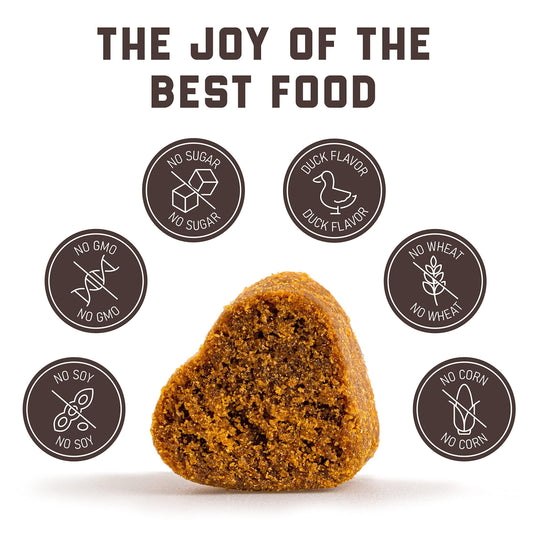 Hip & Joint Chews for Dogs | Glucosamine, MSM & Chondroitin