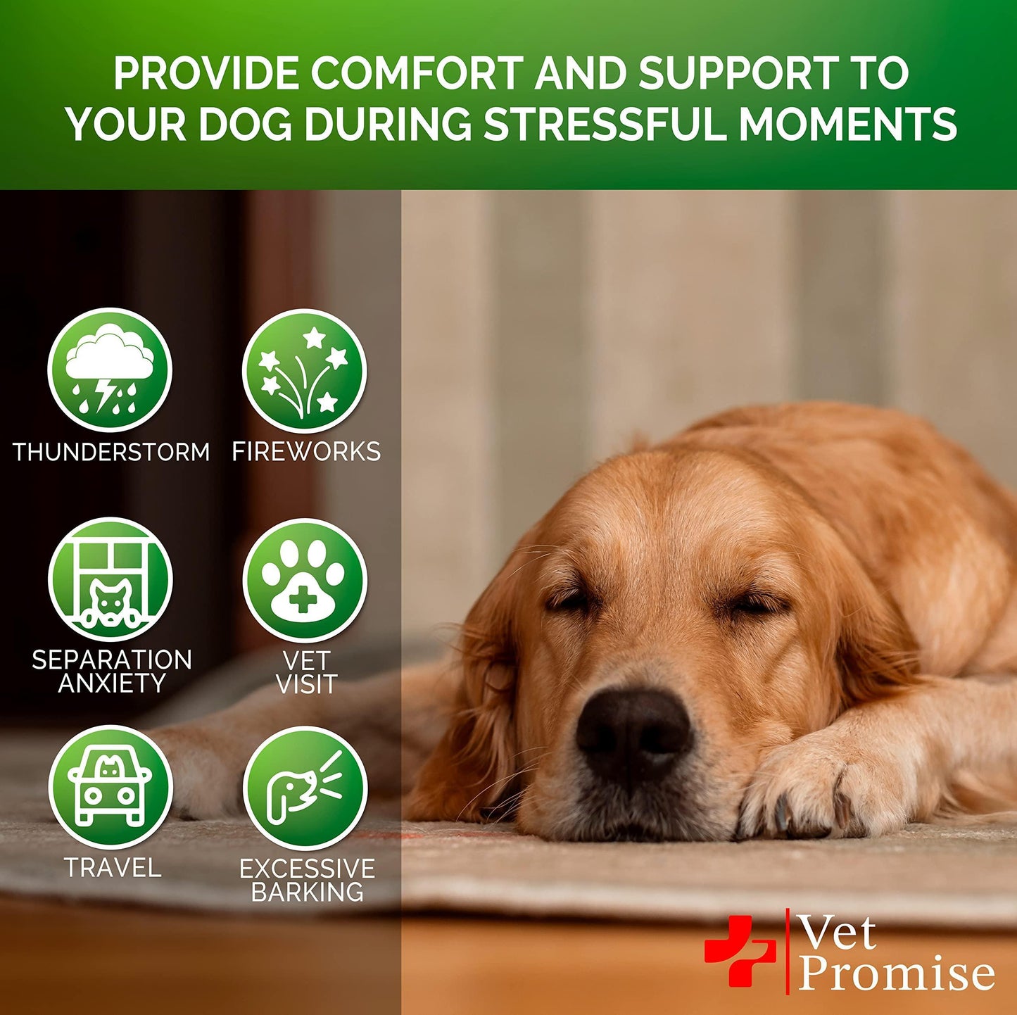 Hemp Calming Chews for Dogs | Stress & Anxiety Relief